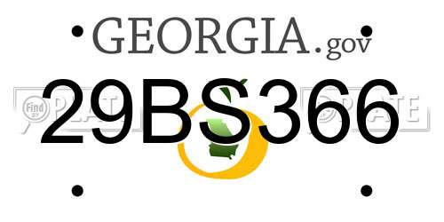29BS366 Georgia License Plate