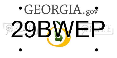 29BWEP Georgia License Plate
