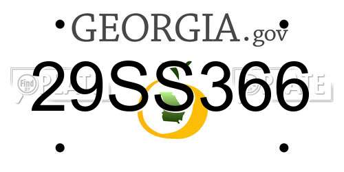 29SS366 Georgia License Plate