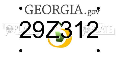 29Z312 Georgia License Plate