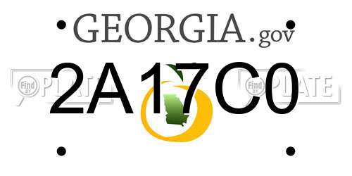 2A17C0 Georgia License Plate