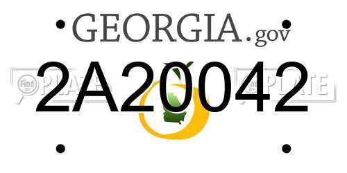 2A20042 Georgia License Plate