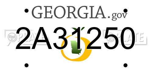 2A31250 Georgia License Plate