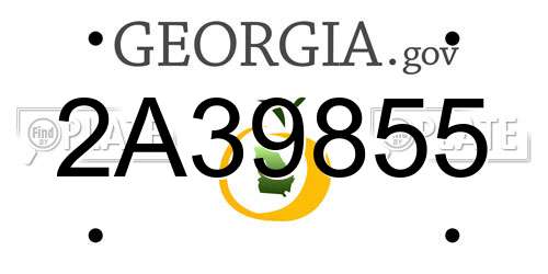 2A39855 Georgia License Plate