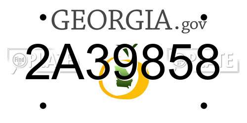 2A39858 Georgia License Plate