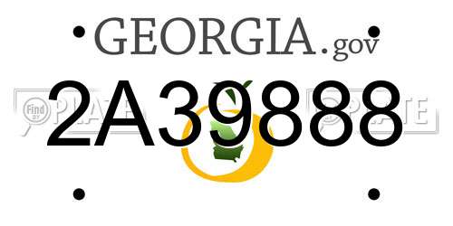 2A39888 Georgia License Plate