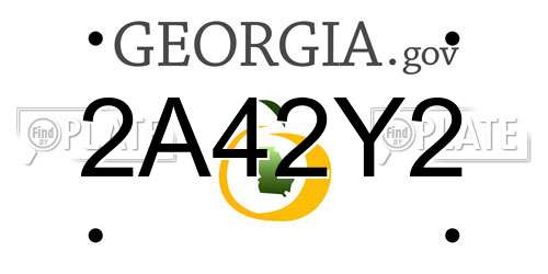 2A42Y2 Georgia License Plate