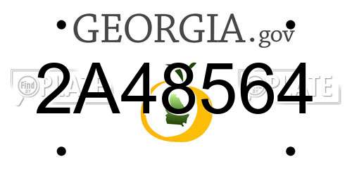 2A48564 Georgia License Plate