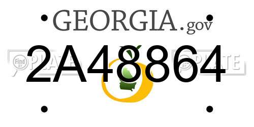 2A48864 Georgia License Plate