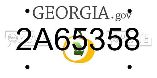 2A65358 Georgia License Plate