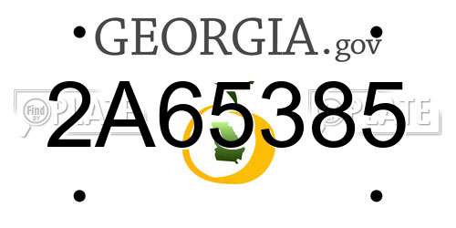 2A65385 Georgia License Plate