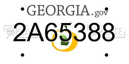 2A65388 Georgia License Plate