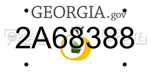 2A68388 Georgia License Plate