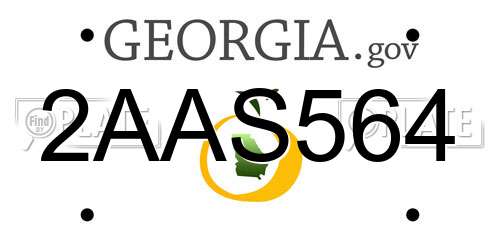 2AAS564 Georgia License Plate