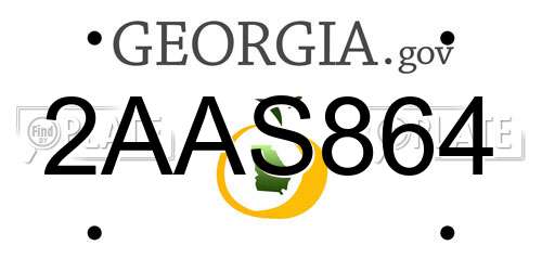 2AAS864 Georgia License Plate