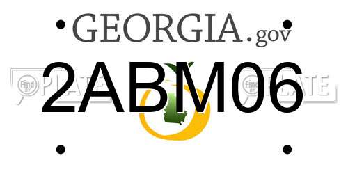 2ABM06 Georgia License Plate