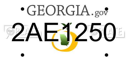 2AE1250 Georgia License Plate