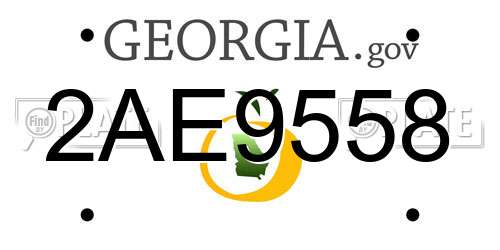 2AE9558 Georgia License Plate