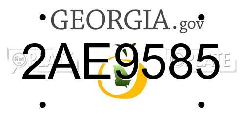 2AE9585 Georgia License Plate