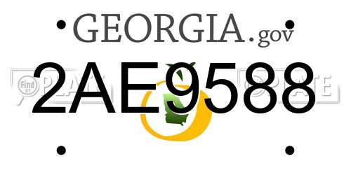 2AE9588 Georgia License Plate