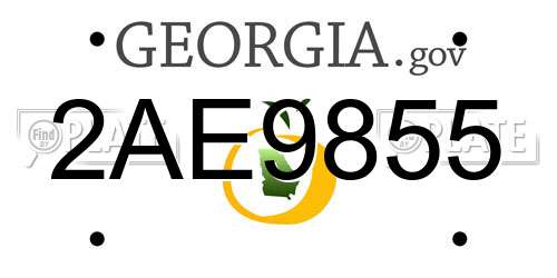 2AE9855 Georgia License Plate