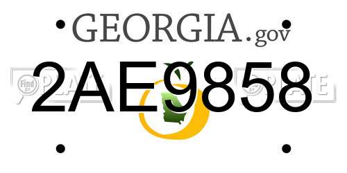 2AE9858 Georgia License Plate