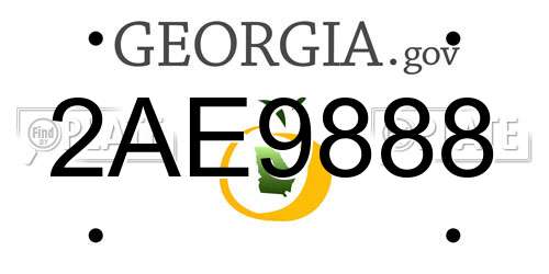 2AE9888 Georgia License Plate