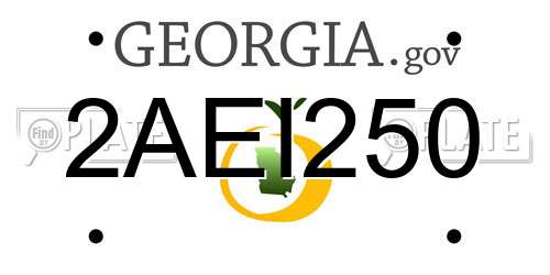 2AEI250 Georgia License Plate