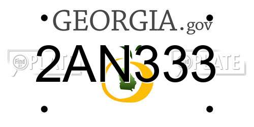 2AN333 Georgia License Plate