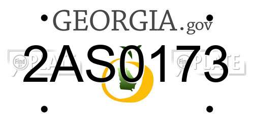 2AS0173 Georgia License Plate