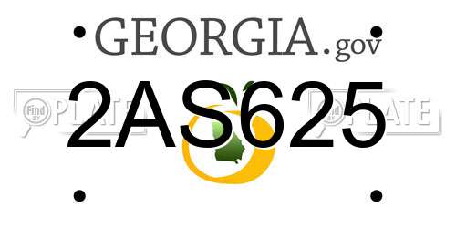 2AS625 Georgia License Plate