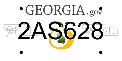 2AS628 Georgia License Plate
