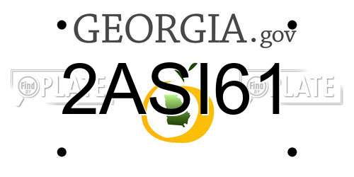 2ASI61 Georgia License Plate