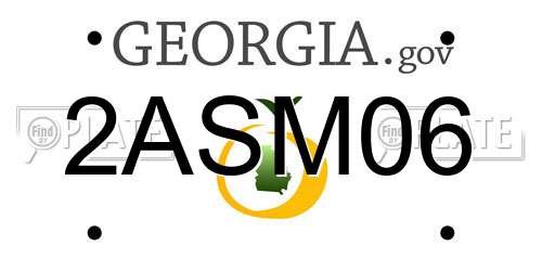 2ASM06 Georgia License Plate