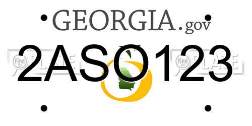 2ASO123 Georgia License Plate