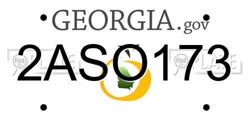 2ASO173 Georgia License Plate