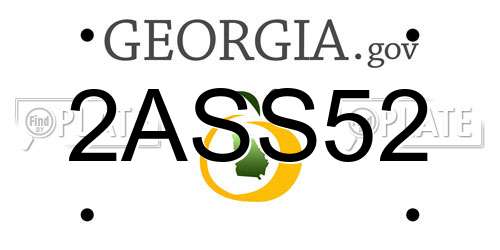 2ASS52 Georgia License Plate