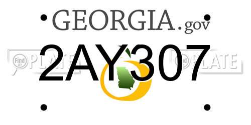 2AY307 Georgia License Plate