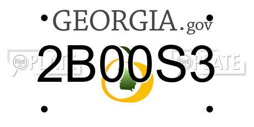 2B00S3 Georgia License Plate