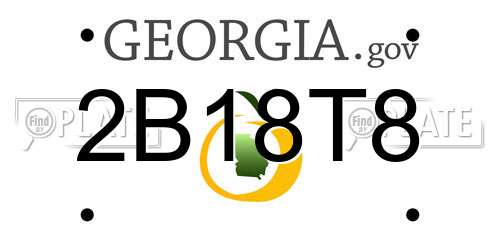 2B18T8 Georgia License Plate