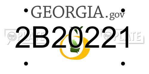 2B20221 Georgia License Plate