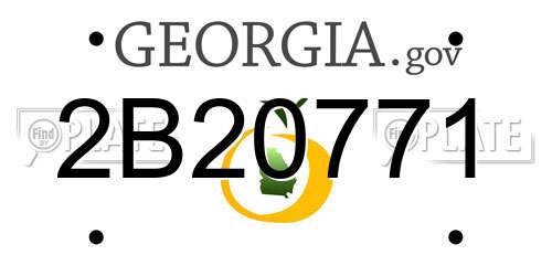 2B20771 Georgia License Plate