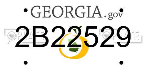 2B22529 Georgia License Plate