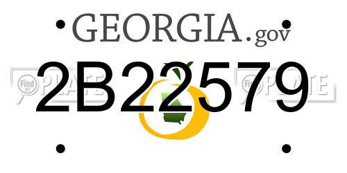 2B22579 Georgia License Plate