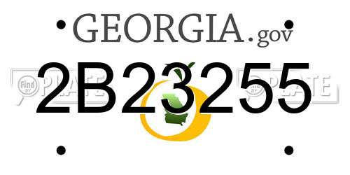 2B23255 Georgia License Plate