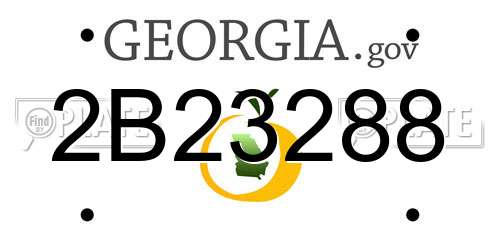 2B23288 Georgia License Plate