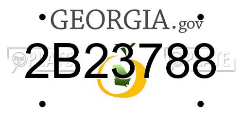 2B23788 Georgia License Plate