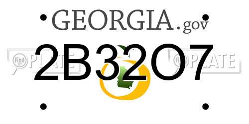 2B32O7 Georgia License Plate