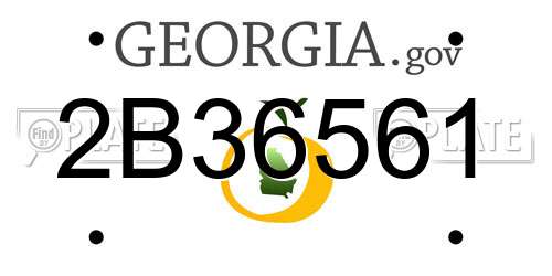 2B36561 Georgia License Plate