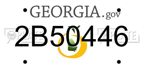 2B50446 Georgia License Plate